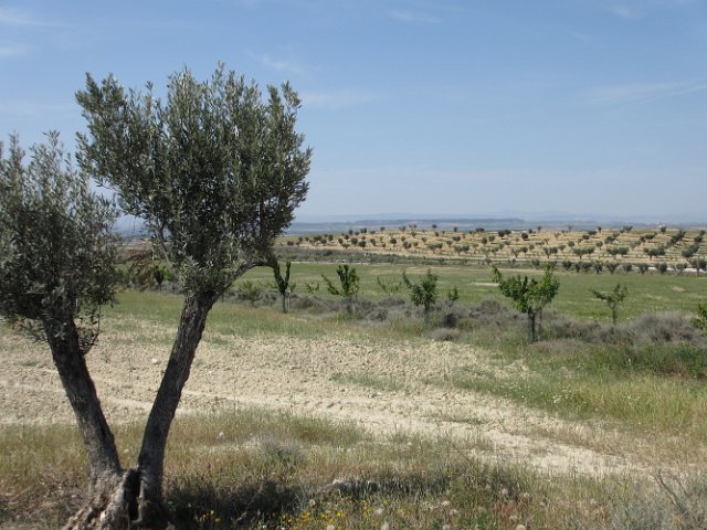 035 Bardenas reales.JPG
